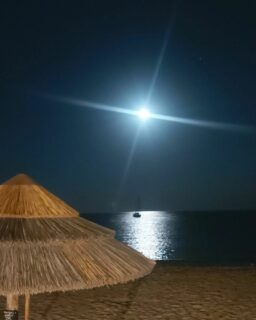 Nuit étoilée plage de Canella ⭐